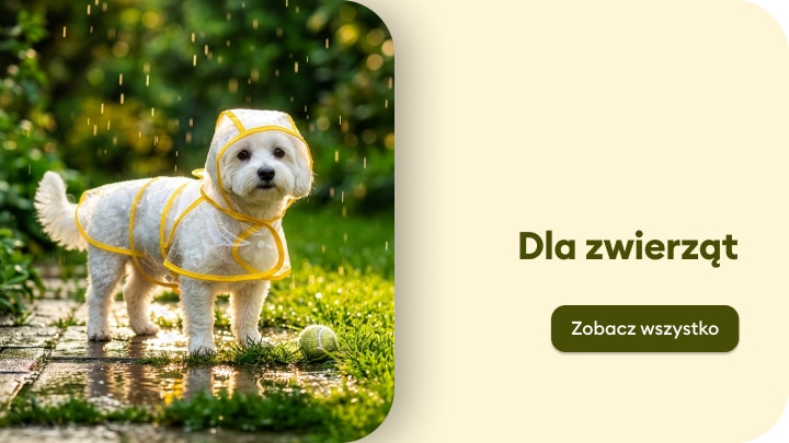Oferta akcesoriów dla zwierząt, w tym odzieży przeciwdeszczowej dla psa na spacery w deszczową pogodę
